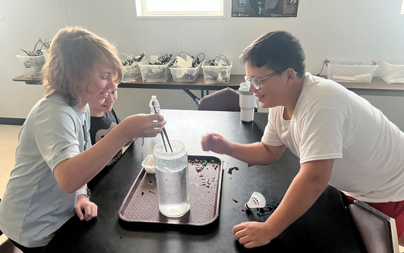 Students participating in a lab exercise at the Dauphin Island Sea Lab.